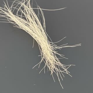 a small white foal hair sample